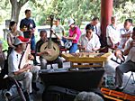 Musiker im Park