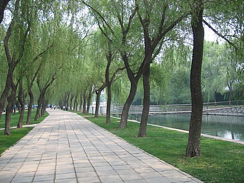 Peking - Sommerpalast - Kunming See
