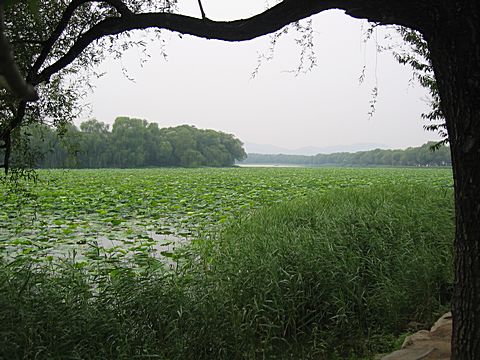 Peking - Sommerpalast - West Causeway