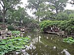 Lingering Garden