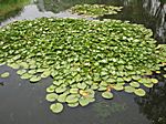 Peking - Yuanming Yuan Park