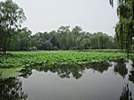 Peking - Yuanming Yuan Park