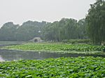 Peking - Yuanming Yuan Park