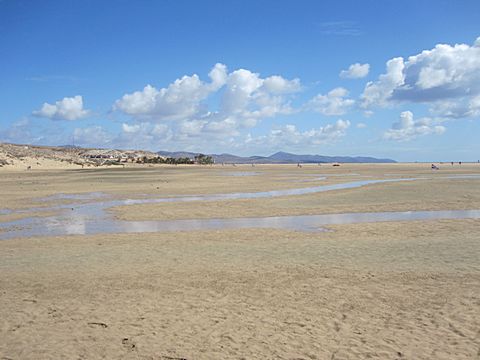 Playa Sotavento