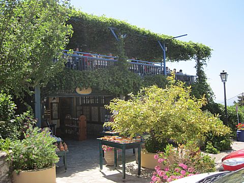Zia