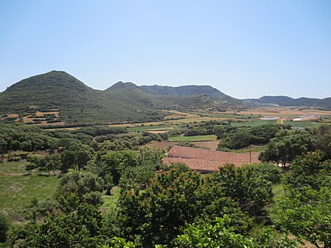 Tramuntana