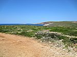 Cap de Cavalleria