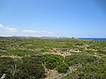 Cap de Cavalleria