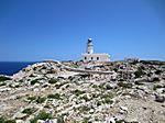 Cap de Cavalleria