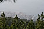 Blick auf Puerto Cruz