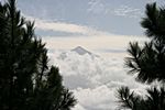 Von La Laguna zum Teide