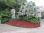 Xiamen - Botanischer Garten